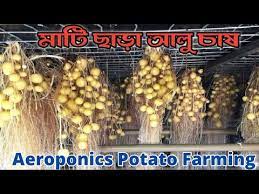 Potato Cultivation with Aeroponics Method