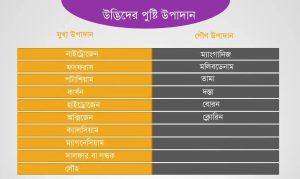 ফসলের ভিটামিন ফসলের ভিটামিন